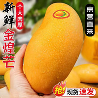 三亞芒果金煌芒 新鮮水果 整箱當(dāng)季 大青熱帶芒果 水果 凈重9斤 單果約200克+