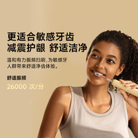 徠芬 新一代掃振電動(dòng)牙刷SE 萊芬深度清潔護(hù)齦牙刷  啞光灰