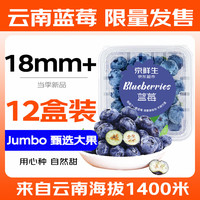 京鮮生 云南藍莓 12盒18mm+裝 125g/盒 酸甜可口 生鮮水果 源頭直發(fā)