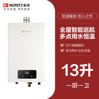 能率 恒溫天燃氣熱水器小戶型家用燃氣款EA2大水量下置風機安全