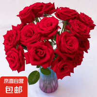 鮮花 10枝裝特價(jià)云南鮮花直發(fā)節(jié)日鮮花禮物花束家用水養(yǎng)插花 紅玫瑰10枝