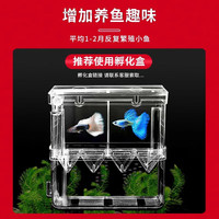 1 孔雀魚(yú)苗 隨機(jī)10條