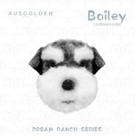 AusGolden MIX 澳洲 貝利雪納瑞 羊毛公仔 靠枕