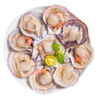 鮮京采 鮮活大美貝 5斤 每斤15-20粒