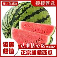 疆域采虹正宗麒麟西瓜4-5斤1個瓜+多層保護