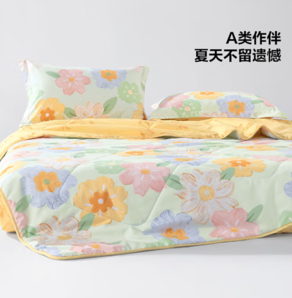 20點(diǎn)！百麗絲 花之茶語(yǔ)抗菌夏被 150x200cm