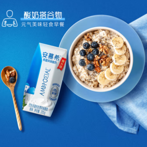 yili 伊利 國產(chǎn)安慕希希臘風(fēng)味酸奶 原味 205g*10盒