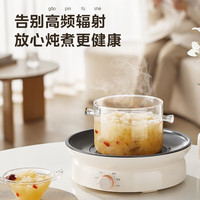 美的 電磁爐圍爐煮茶器家用1200w MC-HW12EY10