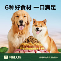 網(wǎng)易嚴(yán)選 狗糧全價三拼犬糧  10kg*1袋 (贈同款狗糧50g*5袋）