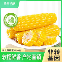 珍谷誘惑 東北黃糯玉米 2kg*1箱 10支