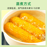 十月稻田 SHI YUE DAO TIAN 中國(guó)大陸 黃糯玉米 1.76kg/袋