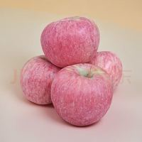 京鮮生 陜西洛川紅富士蘋(píng)果 凈重5斤 單果200g
