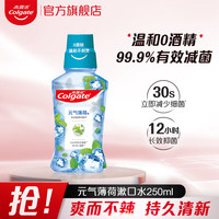 高露潔 漱口水薄荷去異味500ml  男女清新口氣大容量 口腔潰瘍?nèi)パ罎n煙民 元氣薄荷 250ml*1瓶
