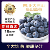 京覓 四川藍莓大果 18MM+ 100g/盒*6盒裝新鮮水果源頭直發(fā)包郵