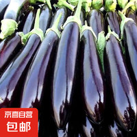 京喜加 茄子帶箱4斤