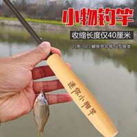 永旭 小物釣魚(yú)竿套裝 超短節(jié)便攜魚(yú)竿 兒童溪流竿