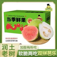 胡鮮森 紅白雙拼芭樂 3斤裝