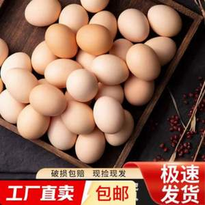 京喜 谷物鮮雞蛋 40g/枚*15枚