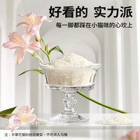高爺家 許翠花植物貓砂木薯砂不易粘底強吸水不可沖廁所原味2.5kg