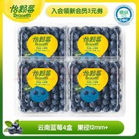 Driscoll's 怡顆莓 云南藍(lán)莓 4盒裝 125g/盒 果徑12mm 源頭直發(fā)