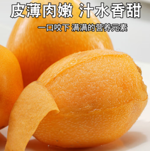 京覓 四川米易大五星枇杷 凈重1斤 單果40g+
