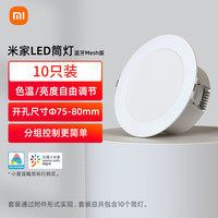米家 MIJIA 智能控制嵌入式筒燈 10只裝