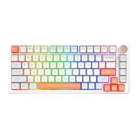 VGN N75 Pro系列 三模機械鍵盤 蒸汽波軸/天青軸