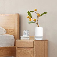 小米 Xiaomi 植物種植杯