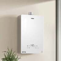 plus會(huì)員！Haier海爾  JSQ31-16KE5FXPGU1 強(qiáng)排式燃?xì)鉄崴?16L