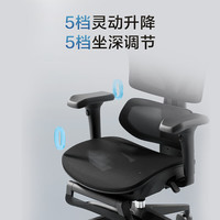 某東京造 Z9Pro人體工學(xué)椅電競(jìng)椅辦公椅子電腦椅人工力學(xué)座椅5D扶手+腳踏黑 曜夜黑
