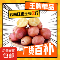 云南紅皮土豆 2斤 單果1-3兩