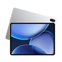 OPPO Pad 4 Pro 平板電腦（12GB、256GB、WiFi版、星河銀）