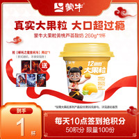 蒙牛 大果粒 風味發(fā)酵乳 桃桃蘆薈 260g