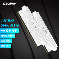 光威 天策 DDR5 5600 24GB