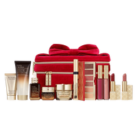ESTEE LAUDER 雅詩蘭黛 圣誕大禮包限定新款 圣誕套裝