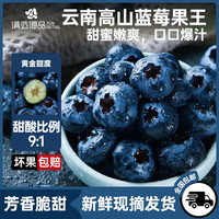 滿范源品 云南L25高山藍(lán)莓15-18mm 1斤裝