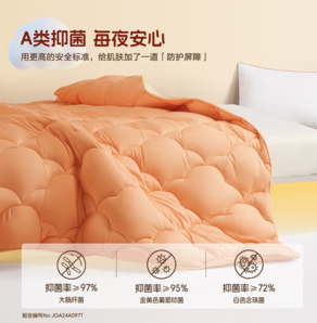 20點(diǎn)！百麗絲 七孔蓬松纖維被四季被