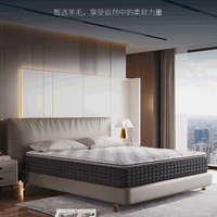 舒達(dá) Serta 普林斯頓Ⅱ床墊 1.8米*2米 適中 厚28CM