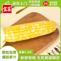 佳農(nóng) 菜云南新鮮金銀水果玉米可生吃單根200g以上凈重4.5斤源頭直發(fā)