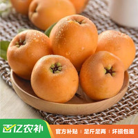 京覓 攀枝花米易枇杷 2斤 大果 單果40-50g 源頭直發(fā)