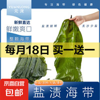 霞浦新鮮海帶 鹽漬整棵海帶 3斤(1500g)