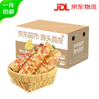 京鮮生 京百味云南花糯玉米凈重1kg西雙版納香糯即食玉米真空包裝源頭直發(fā) 花糯玉米 2斤