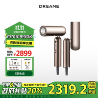 追覓 dreame 家用便攜高速負(fù)離子頭皮護(hù)理吹風(fēng)機(jī)自營(yíng) 大功率速干電吹風(fēng) 護(hù)發(fā)吹風(fēng)機(jī)D10