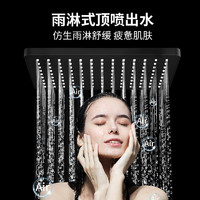 箭牌衛(wèi)浴 暗裝花灑黑色方形