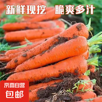 加 國(guó)產(chǎn)農(nóng)家自種胡蘿卜 2斤 帶箱