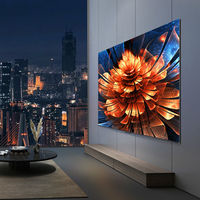 TCL 65英寸65Q9K MiniLED 1008分區(qū) 2400nits 電視