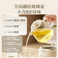 小熊 全玻璃養(yǎng)生壺 1L YSH-P10Q7