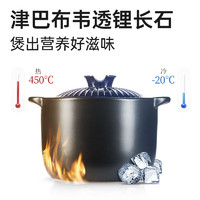 炊大皇 家用耐高溫砂鍋 4.8L 大家庭裝 （4-5人）
