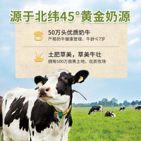 完達(dá)山 純牛奶 200ml*24盒