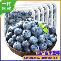 京豐味 云南藍莓 新鮮時令國產(chǎn)藍莓水果 100g-125g/盒  精選單果 果徑約14mm以下 4盒